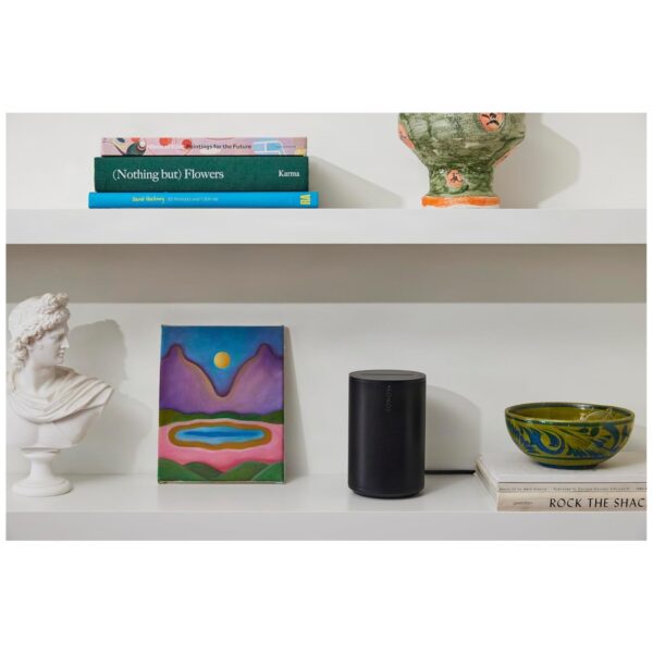 Sonos Era 100 SL - Compact Speaker (Black)