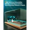 Dehumidifiers for Home Damp Compressor Dehumidifier with Laundry Dry