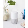 Bose Portable Smart Speaker—With Alexa Voice Control Built in, Silver