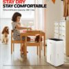 Honeywell 20L/Day Dehumidifiers For Home With Digital Display